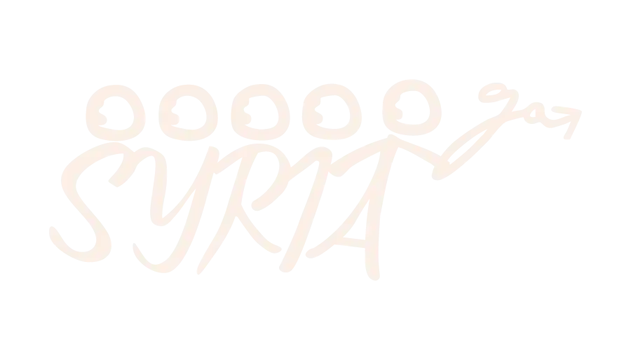 Syria Go Logo